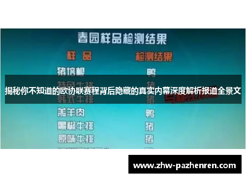 揭秘你不知道的欧协联赛程背后隐藏的真实内幕深度解析报道全景文
