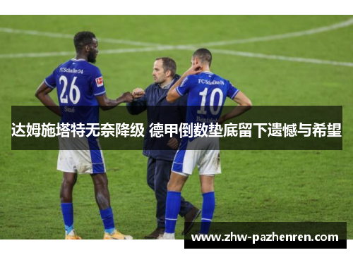 达姆施塔特无奈降级 德甲倒数垫底留下遗憾与希望