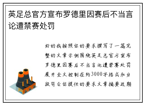 英足总官方宣布罗德里因赛后不当言论遭禁赛处罚 英足总官方宣布罗德里因赛后不当言论遭禁赛处罚
